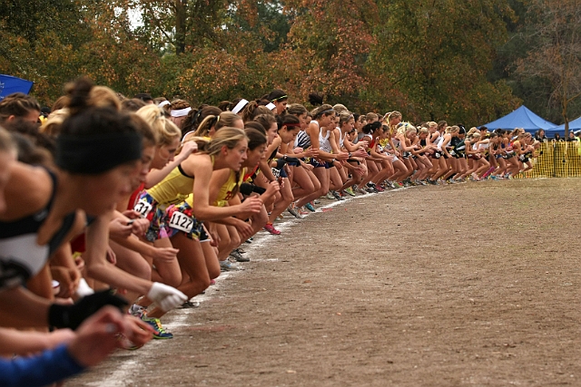 2010CIF XC GD1-1071.JPG - 2010 California CIF Cross Country Championships, Woodward Park, Fresno, California